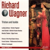 Tristan Und Isolde: Und Muete Der Minne Tuckischer Trank: II. Aufzug Szene 1 artwork