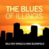 The Blues of Illinois artwork
