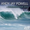Summerwave 2010 (Remixes), 2010