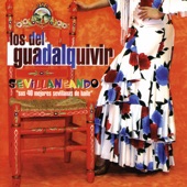 La Movida del Sur (Sevillana) artwork