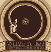 What It Is! Funky Soul And Rare Grooves [1967-1977] [w/interactive booklet] - Gossip (Single Version) (2006 Remastered)