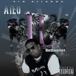 Ateo - Single - Mc Rottweiler