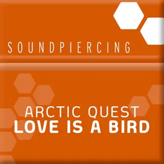 Love Is a Bird - EP by Arctic Quest album reviews, ratings, credits