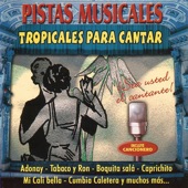 Cumbia Caletera artwork