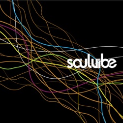 Soulvibe - Biarlah (Hapuslah Cinta)