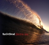 Buckethead - The Homing Beacon