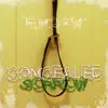 Concealed Sorrow - Single album lyrics, reviews, download