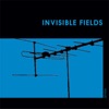 Invisible Fields