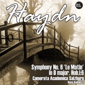 Symphony No. 6 'Le Matin' in D major, Hob.I:6: III. Menuet artwork