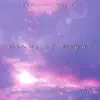 Seeds of Light album lyrics, reviews, download