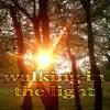 Walking In the Light (Vibe House Music) - Single album lyrics, reviews, download