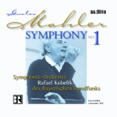 Mahler: Symphony No. 1 artwork