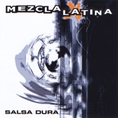 Salsa Dura artwork
