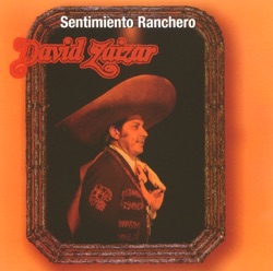 David Zaizar - Aunque Pasen los Años