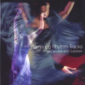 Flamenco Rhythm Tracks artwork