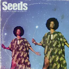 Seeds by Georgia Anne Muldrow album reviews, ratings, credits