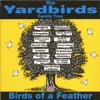 The Yardbirds Family Tree - Birds of a Feather