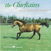 Ballad Of The Irish Horse artwork