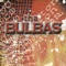 Mujeres Sueltas - Joel D.I. lyrics