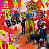 Reggaeton In the USA