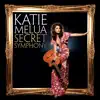 Secret Symphony - The Secret Sessions Edition album lyrics, reviews, download