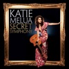 Secret Symphony - The Secret Sessions Edition