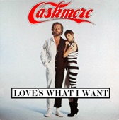 Love's What I Want (Single Version) artwork