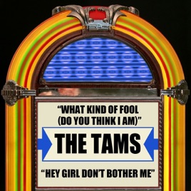 Dont Bother Me Four Things You Should >> What Kind Of Fool Do You Think I Am Hey Girl Don T Bother Me Dont Bother Me Four Things You Should >> What Kind Of Fool Do You Think I Am Hey Girl Don T Bother Me