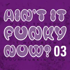 Can You Feel The Funk (Ain't It Funky Now? Volume 3) by Various Artists album reviews, ratings, credits