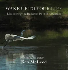 Wake Up to Your Life, Vol. 3 by Ken McLeod album reviews, ratings, credits