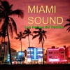 Montunos: Miami Sound, 2010