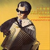 Lynn August - Rockin' Accordion