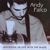 Andy Falco - Back Home Again