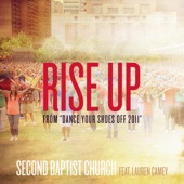 Rise Up (From "Dance Your Shoes Off 2011") (feat. Lauren Camey) artwork