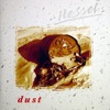 Dust