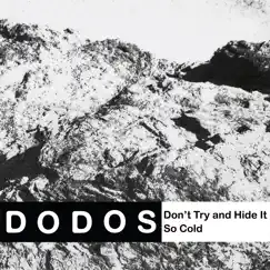 Don't Try and Hide It - Single by The Dodos album reviews, ratings, credits
