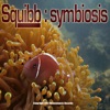 Symbiosis - Maxi Single