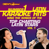 Drew's Famous #1 Latin Karaoke Hits: Sing the Songs of the Top Charting Latin Stars Vol. 1 - Reyes De Cancion