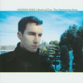 Andrew Bird - How Indiscreet