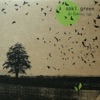 Soki Green - Green Grass