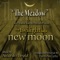 The Meadow from "the Twilight Saga: New Moon" Composed by Alexandre Desplat artwork