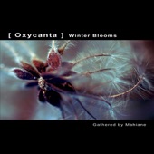 OXYCANTA - Winter Blooms artwork