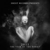 2011 the Year of the Rabbit