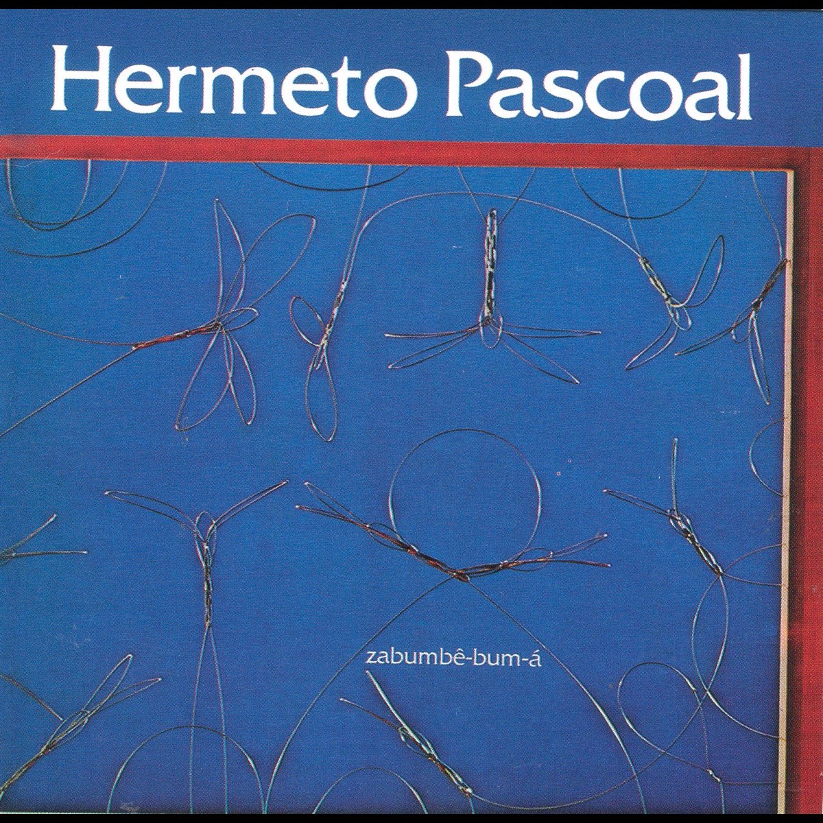 Hermeto pascoal. Эрмето.