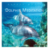 Dolphin Meditation (gemafrei) - Janina Parvati