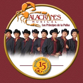 Resultado de imagen para Alacranes Musical 15 Polkas Alacraneras