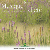 Chlorophylle, Vol. 6 : Musique d'été - Relaxing Zen Nature