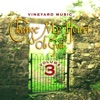 Vineyard Worship - I Would Do Anything