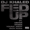 Fed Up (feat. Usher, Drake, Rick Ross & Young Jeezy) - Single, 2009