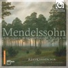 RIAS Kammerchor, Akademie für Alte Musik Berlin & Hans-Christoph Rademann - Sechs Lieder Im Freien Zu Singen, Op. 48: IV. Lerchengesang